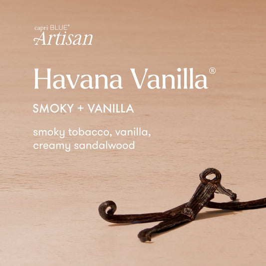 6.5oz Caffè Capri Gelato Cup | Havana Vanilla