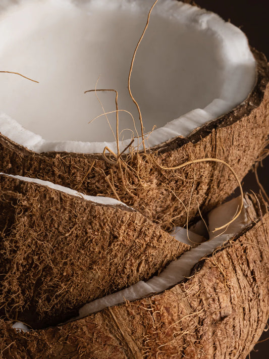 Diffuser Refill | Coconut Milk Mango
