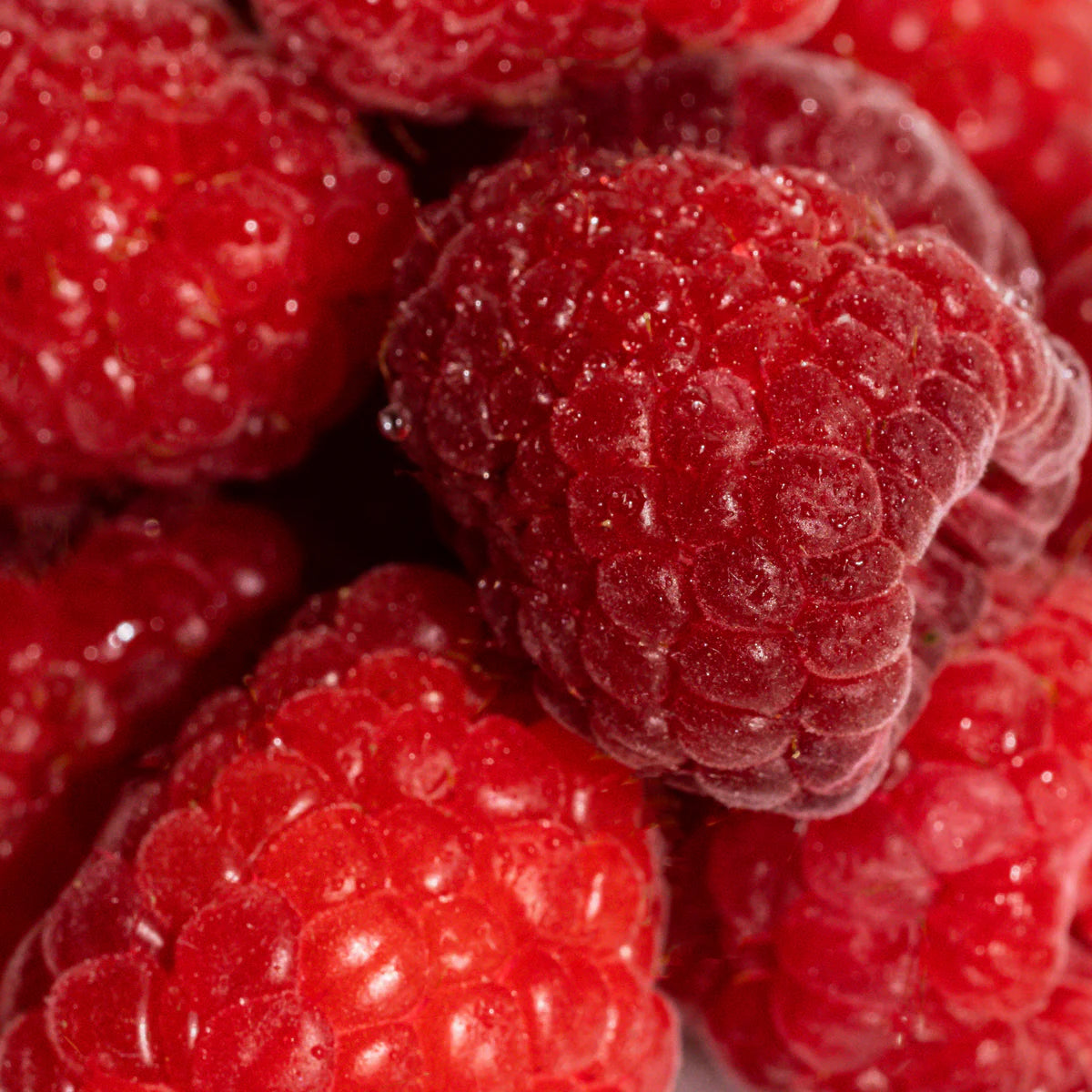 Vanilla Berry - Smart Vial