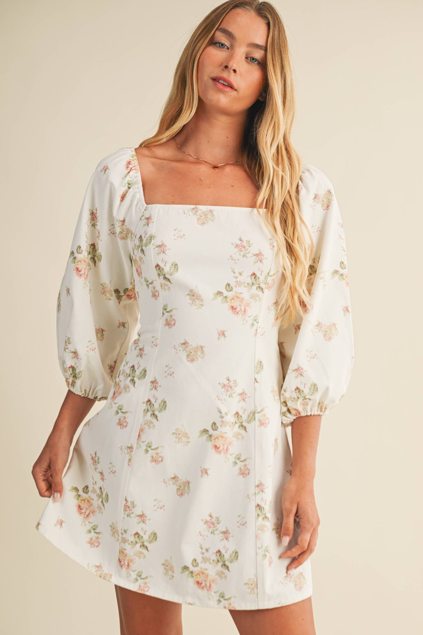 Spring Princess Line Puff Sleeve Dress