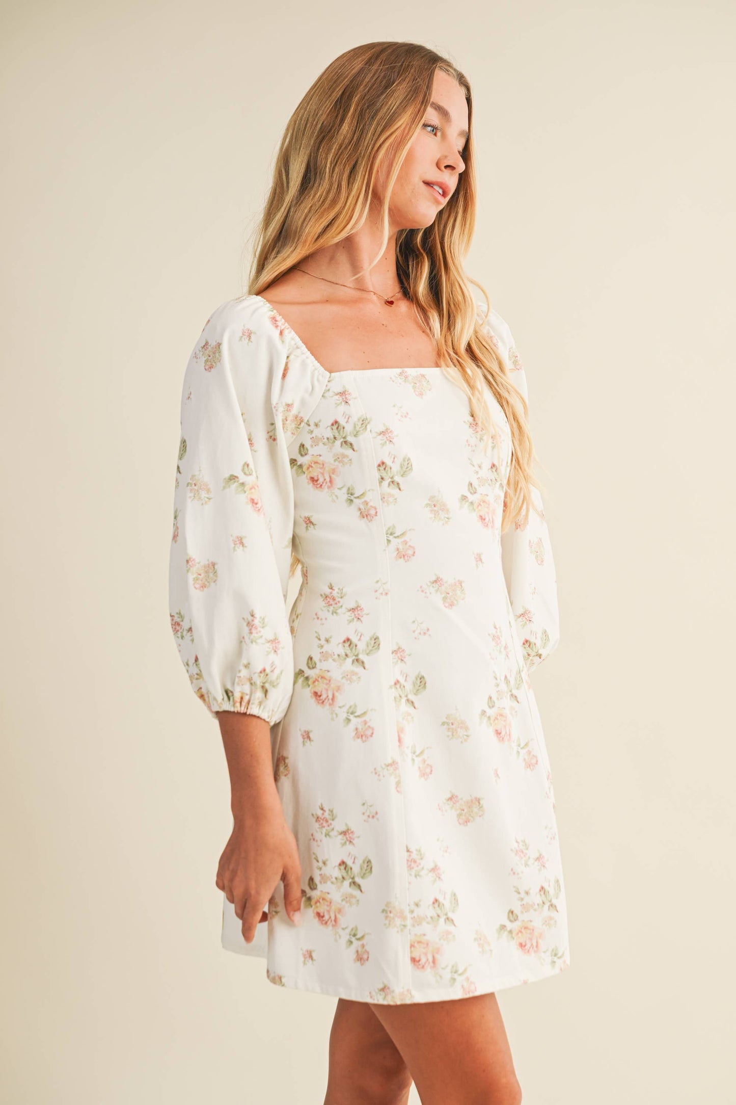 Spring Princess Line Puff Sleeve Dress