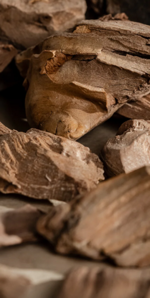 Diffuser Refill | Balsam & Cedar by Illume