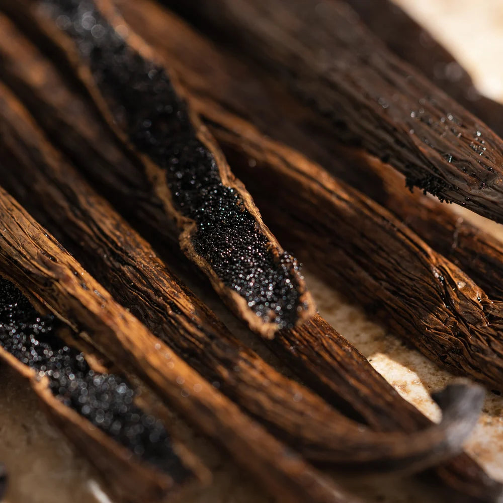 Diffuser Refill | Havana Vanilla
