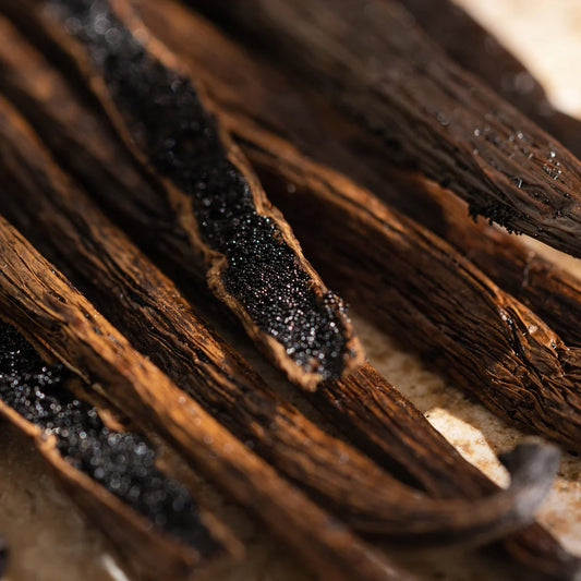 Diffuser Refill | Havana Vanilla