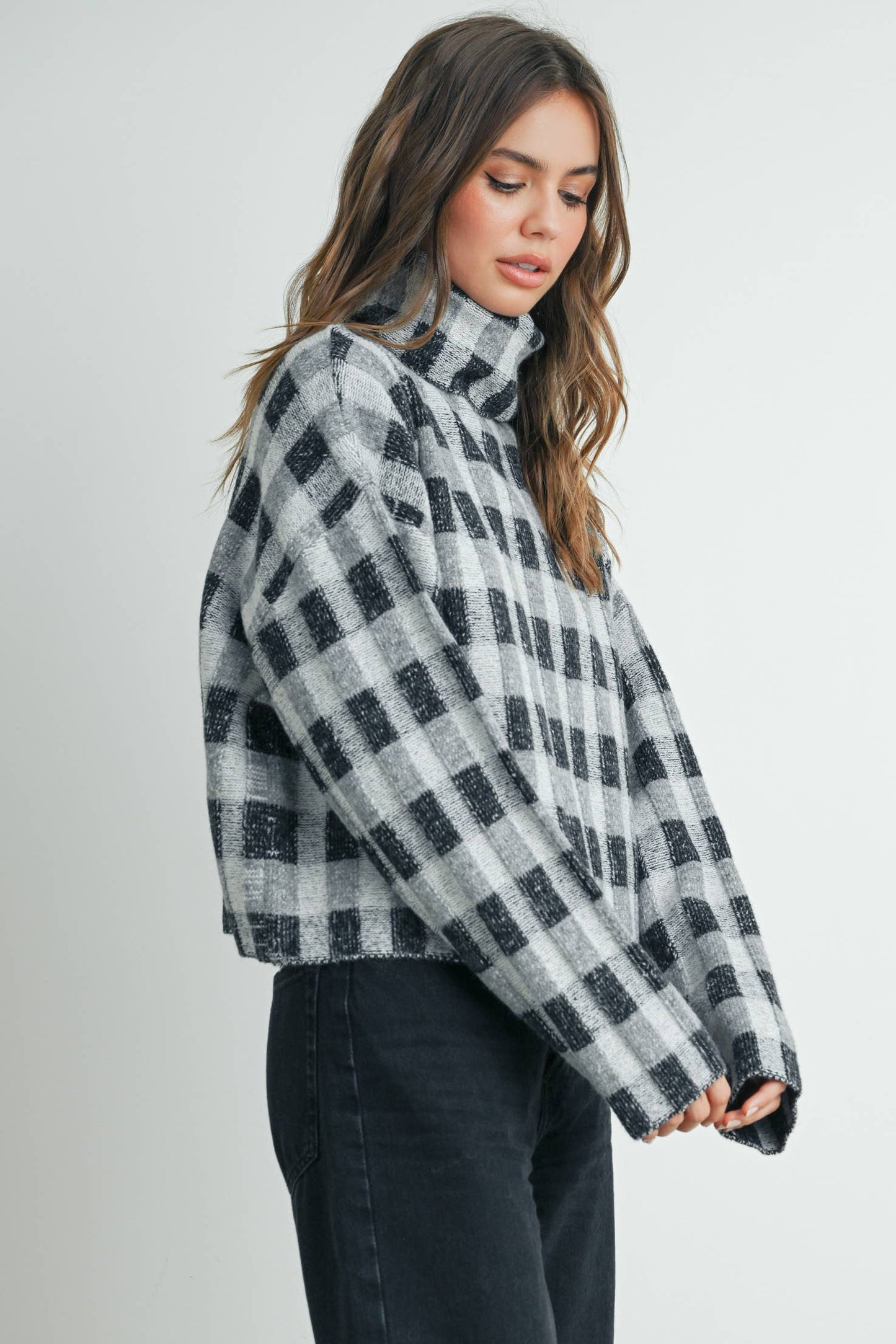 Fall Check Turtleneck Sweater
