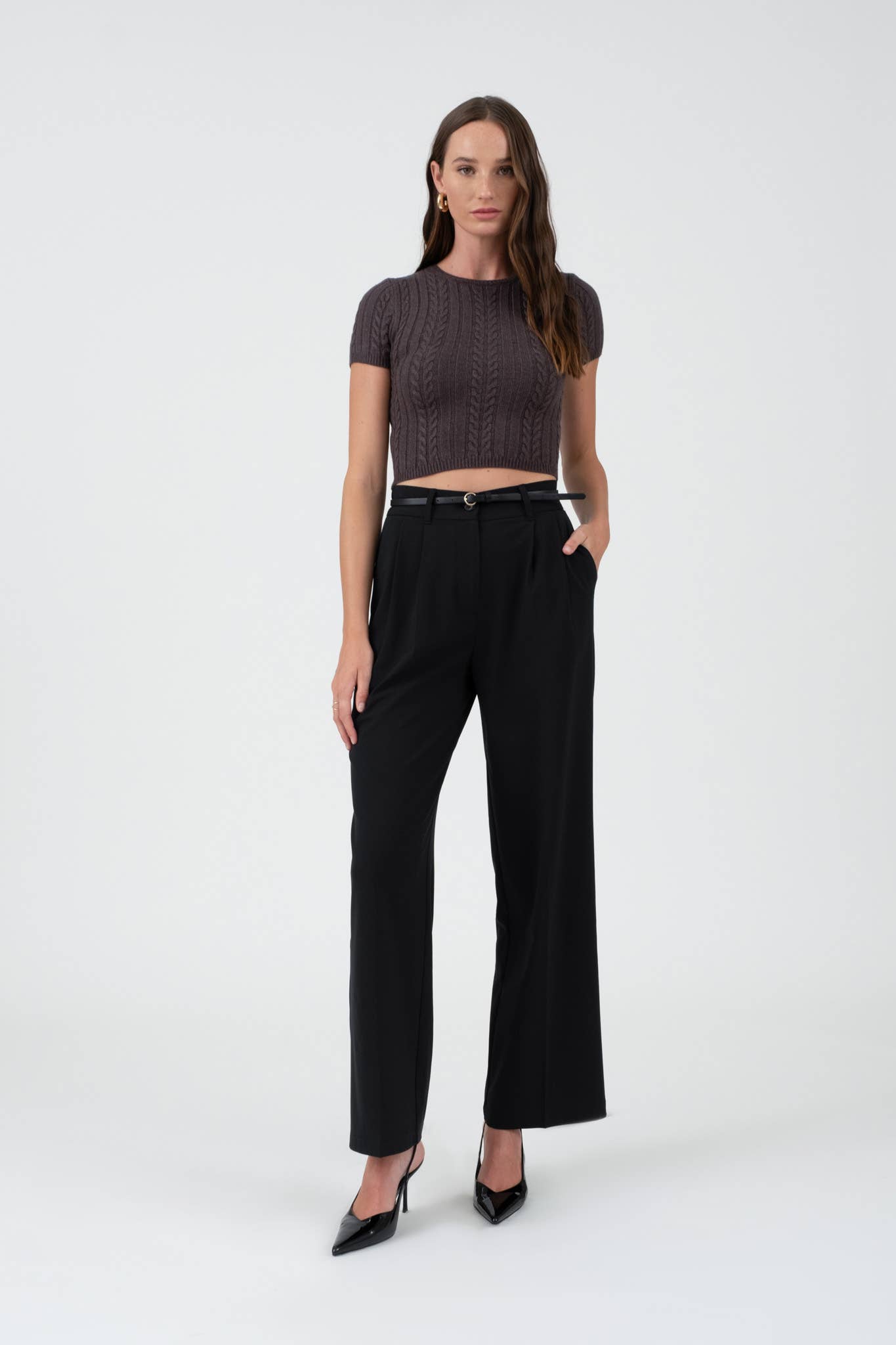 High Waist Pleated Wide Leg Dress Pants