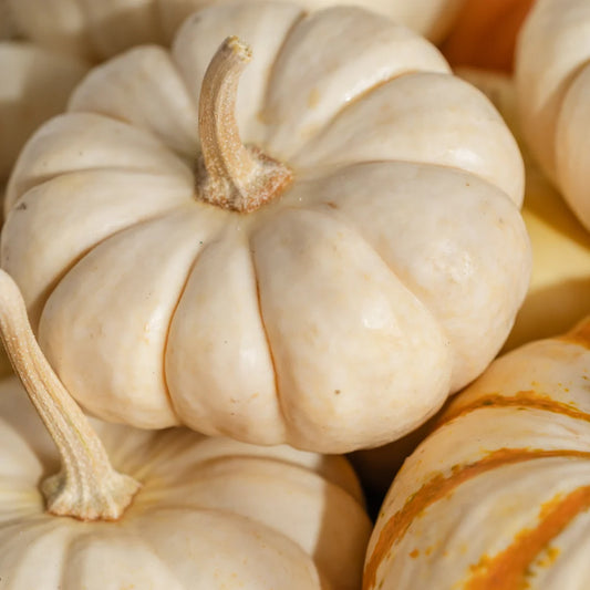 Diffuser Refill | Pumpkin Macchiato